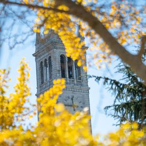 Campanile with fall foliage