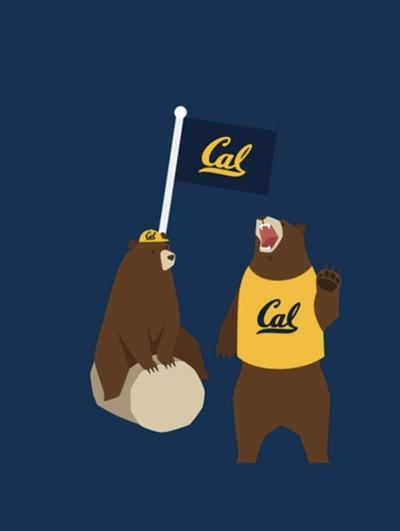 Cal bears