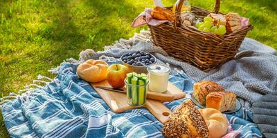 Picnic basket, blankets, food laid on the grass