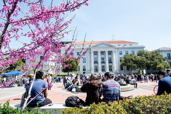 Sproul Plaza Flowers