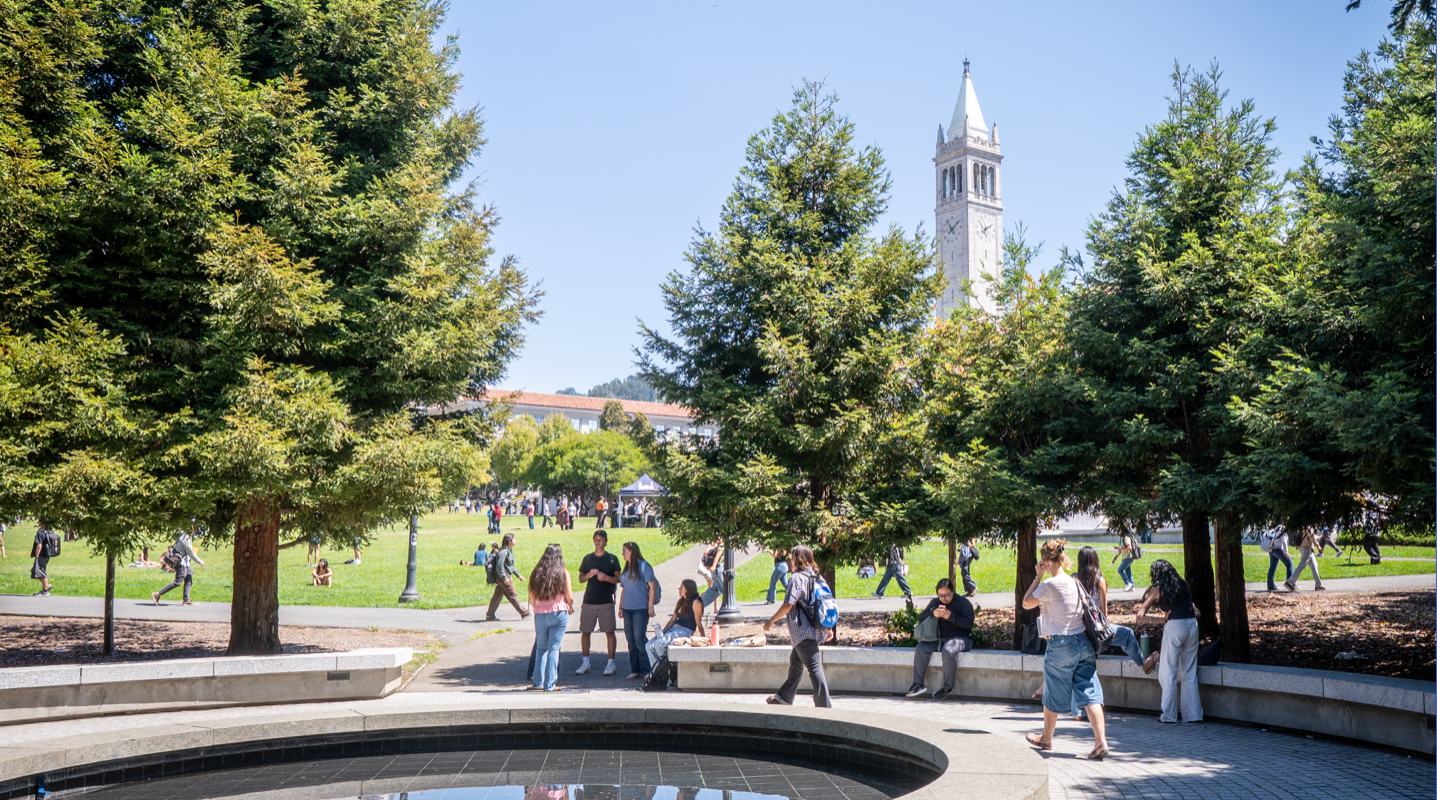 Some students gathering in the Memorial Glade on UC Berkeley campus