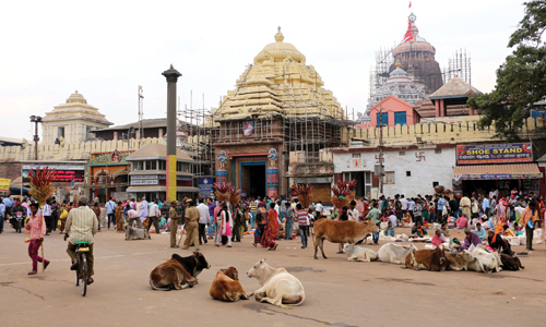 Rediscovering The Jagannath Sadak