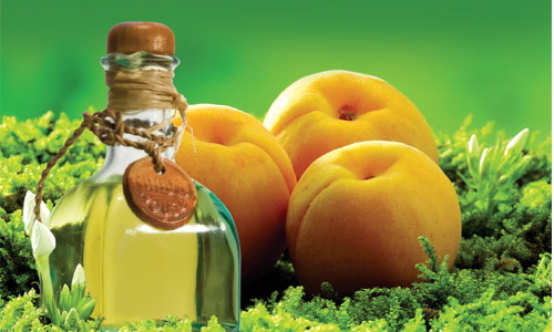 Apricot Oil