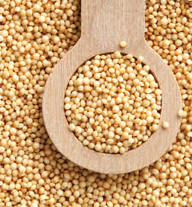 Gluten Free Amaranth