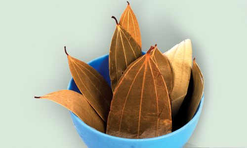 Bay Leaf