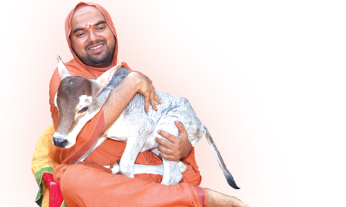 “Declare Cow and its progeny National Animal” --Sri Sri Raghaveshwara Bharati