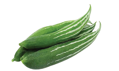 Snake Gourd