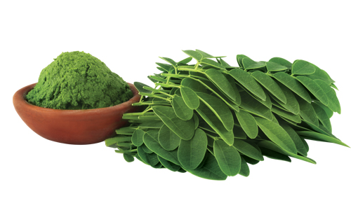 Moringa Leaves