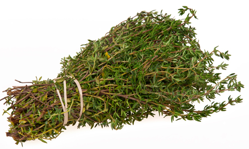 Thyme