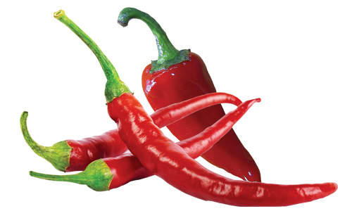 Red Chilli Pepper