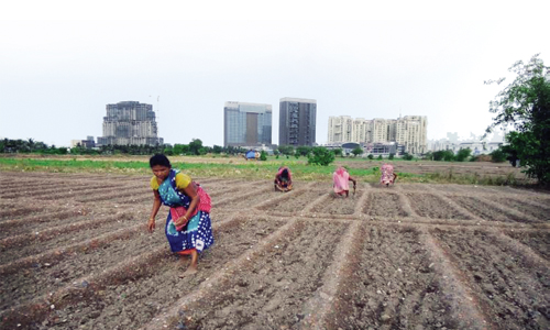 Why East Kolkata Wetlands need to be protected