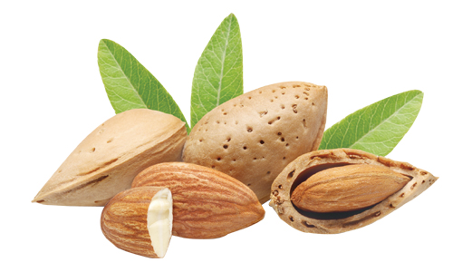 Almond Oil