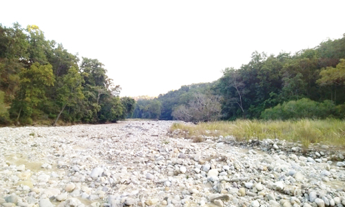 Uttarakhand braces itself for dry days