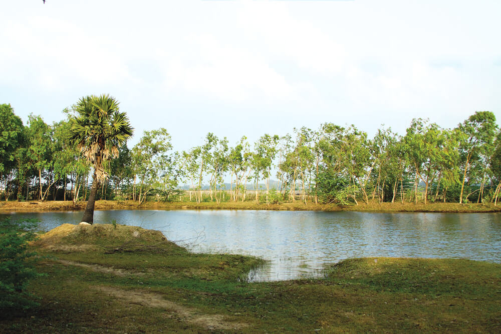 Farm ponds change farmers’ fortunes