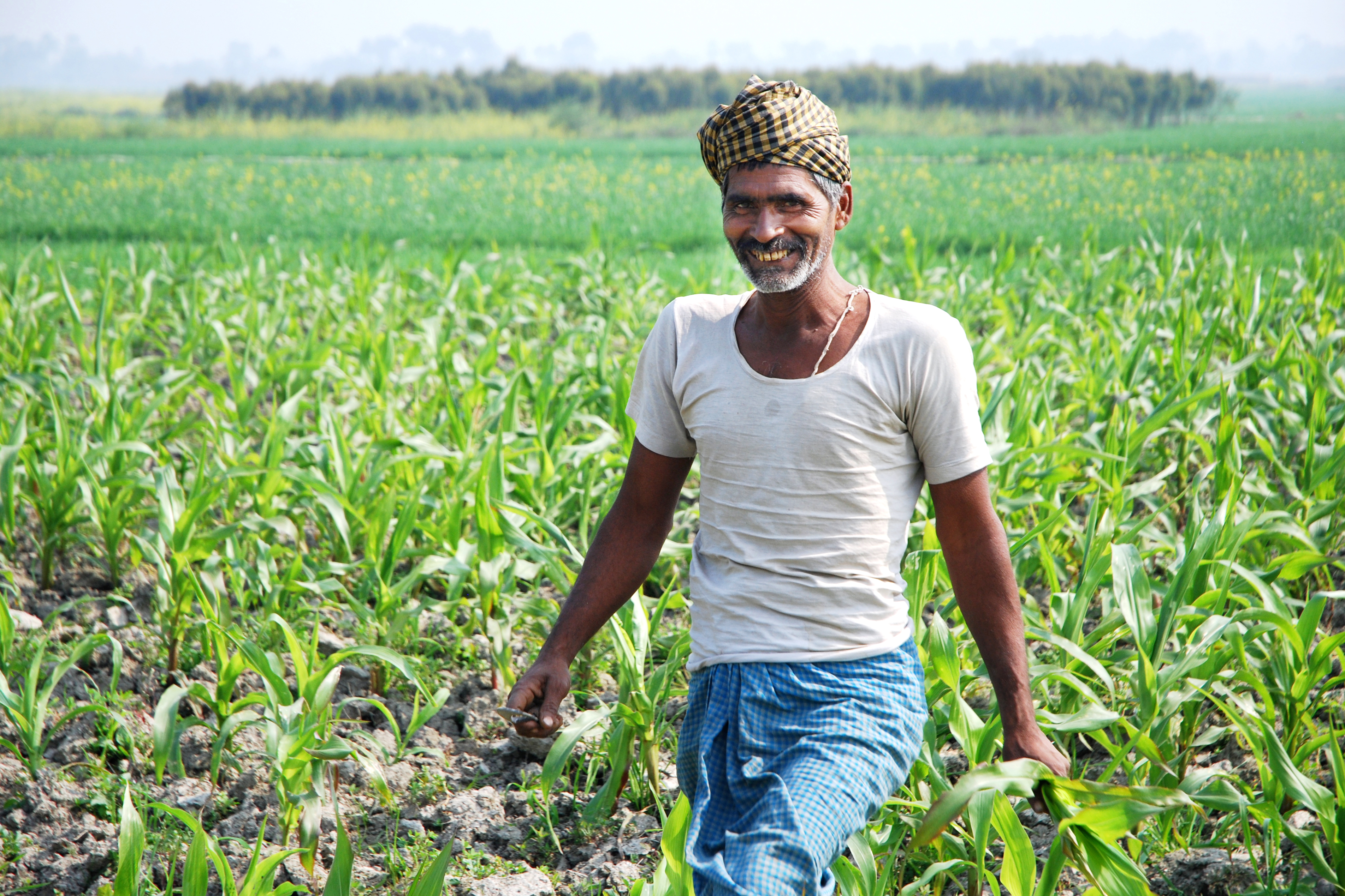 Lockdown: Modi govt releases Rs 17793 crore to 8.89 crore farmers under PM-KISAN scheme so far