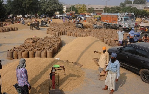 Record 341.56 lakh tonnes wheat procured despite lockdown