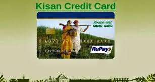 Tamil Nadu: Over 20 lakh Kisan Credit Cards issued to farmers