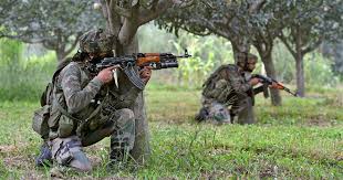 J&K: Two terrorists killed in Shopian