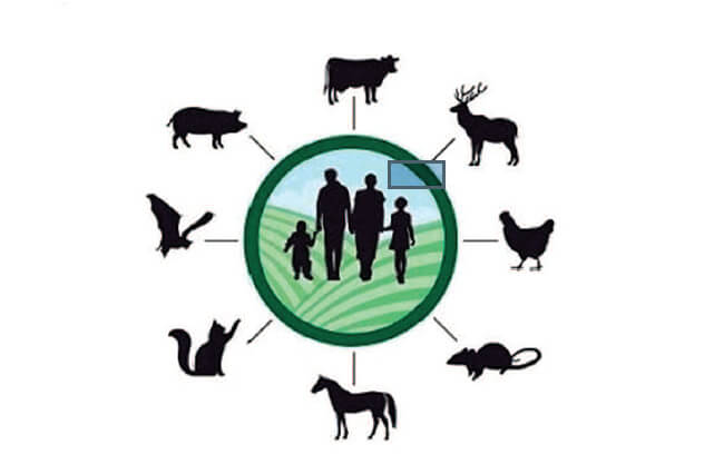 Zoonotic Diseases On The Rise, Humans Threatened