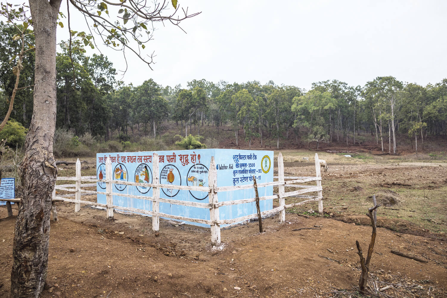 Bringing springs to life  Ensuring water security for Baigas in Madhya Pradesh