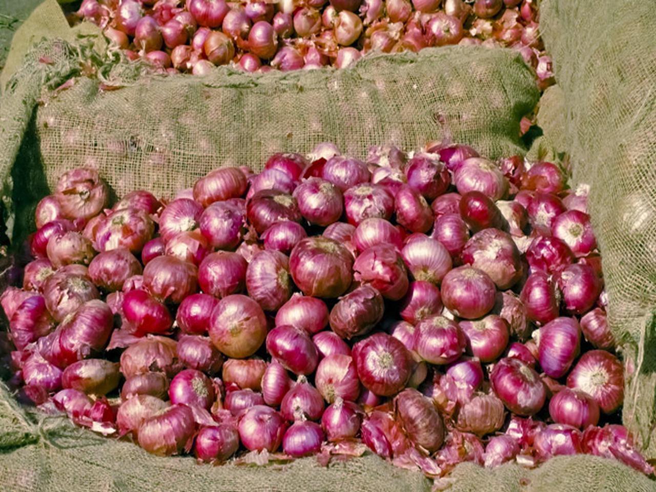 Govt bans export of all onions with immediate effect