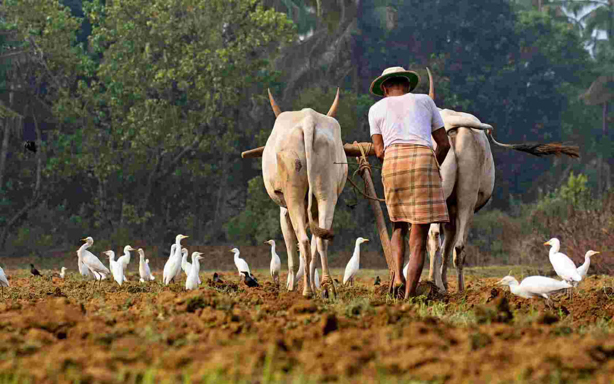 Need to reform new agricultural laws