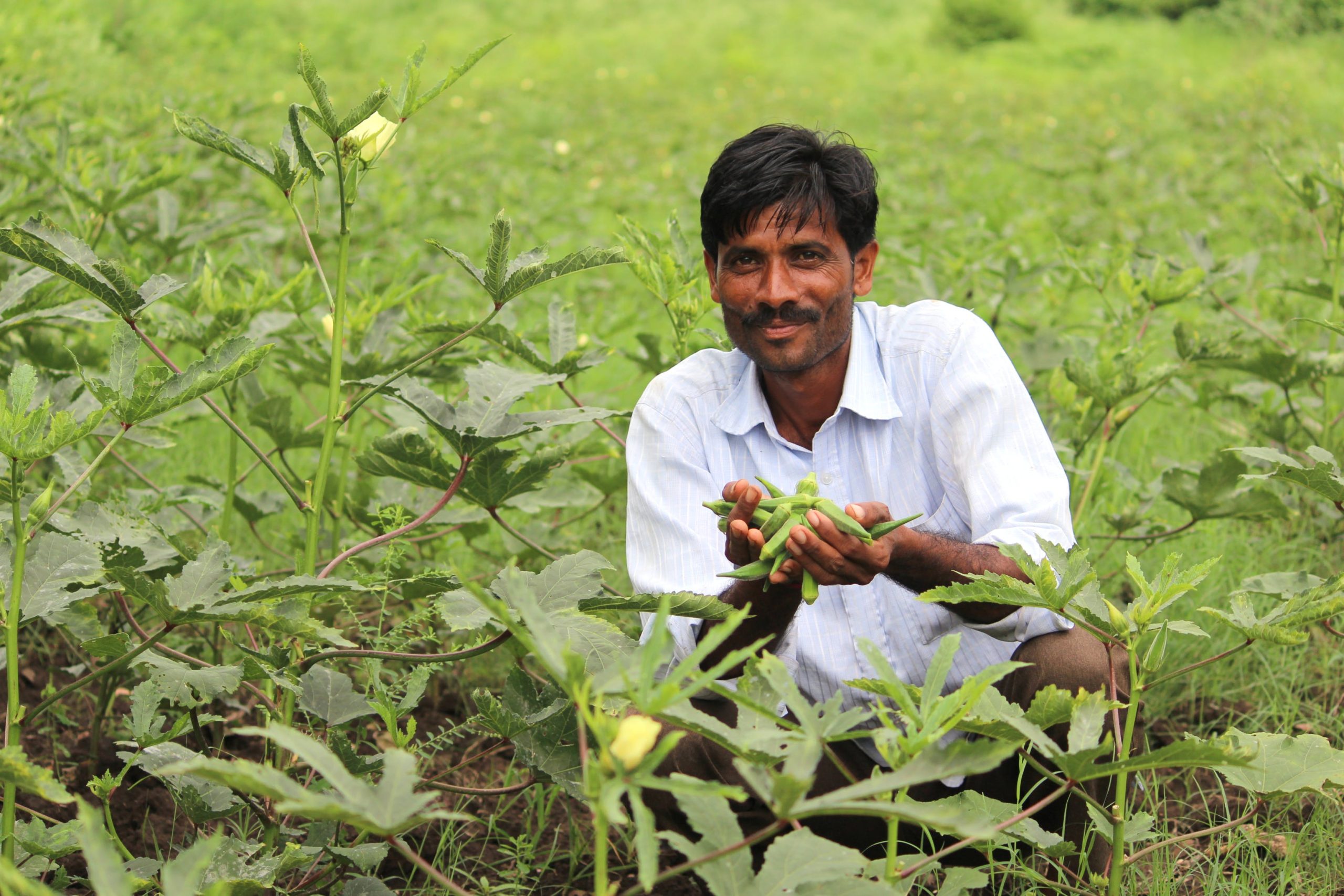 Road to Farmers’ Prosperity