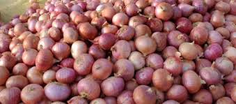 Govt bans exports of onion seeds