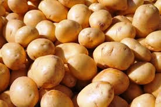 Centre to import 10 lakh tonnes of potatoes