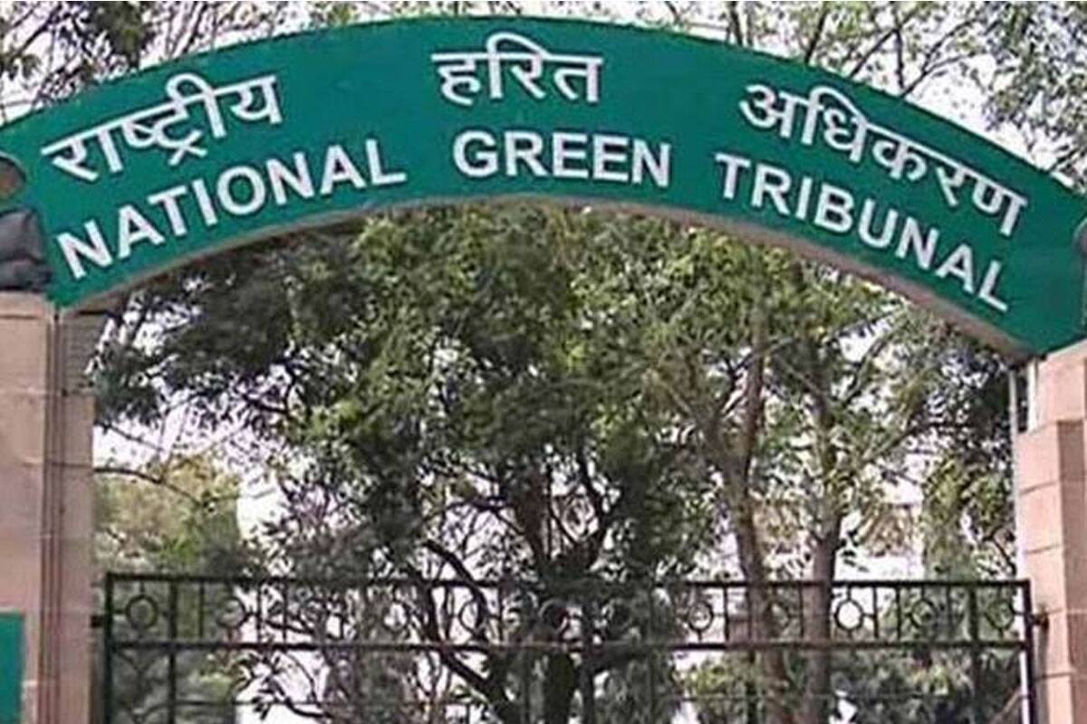 NGT bans firecrackers in Delhi-NCR till Nov 30