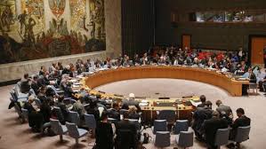 India calls for introspection within UN Security Council 