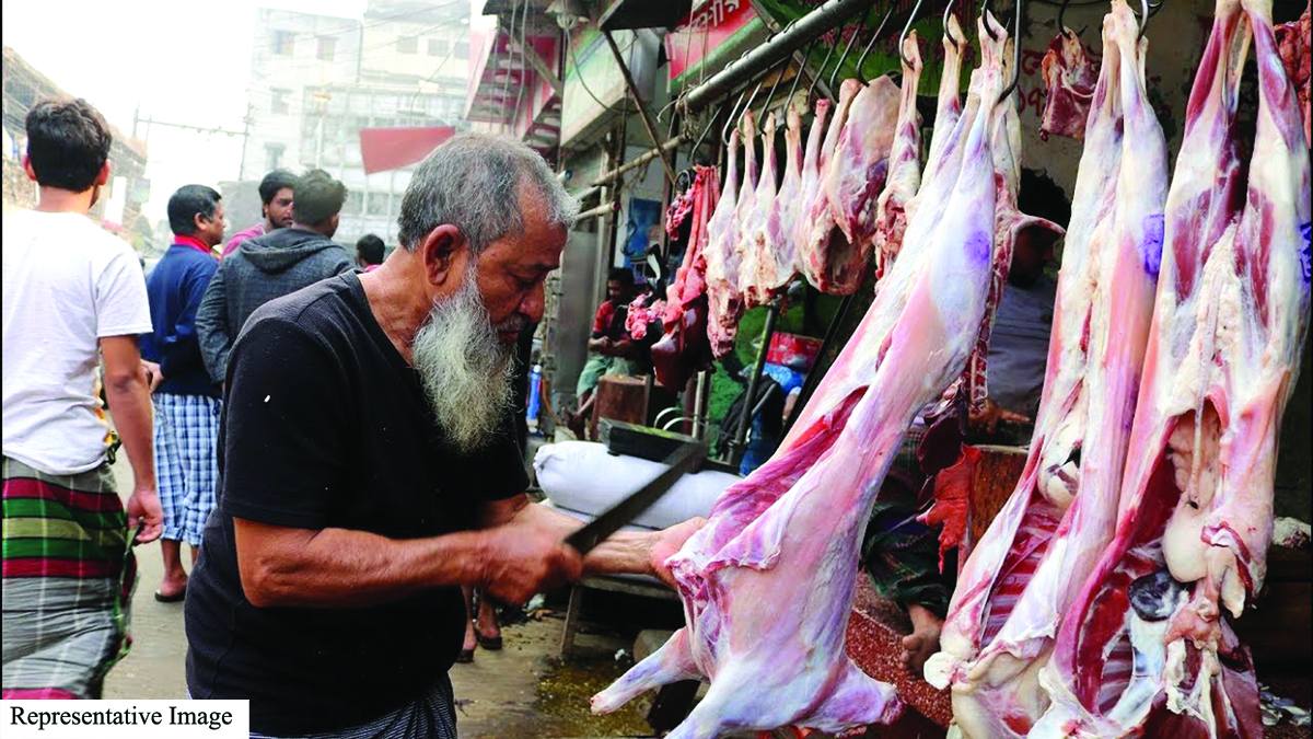 Goat Caught in Political Cauldron