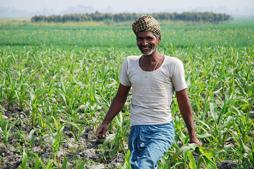 Agricultural credit target enhanced to 16.5 lakh crore rupees in the next fiscal