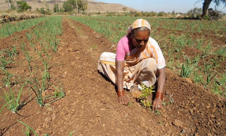 Meandering waterways the interconnectedness of people’s action on water availability