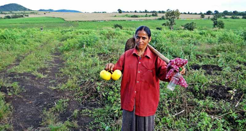 COVID-19 and social protection Impact in the  agriculture sector