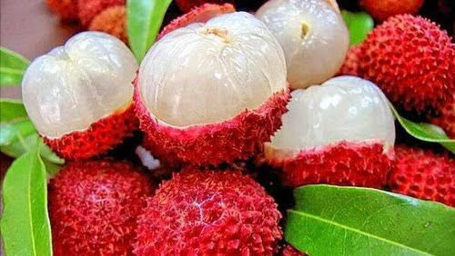 First consignment of GI certified Shahi Litchi from Bihar exported to the U.K
