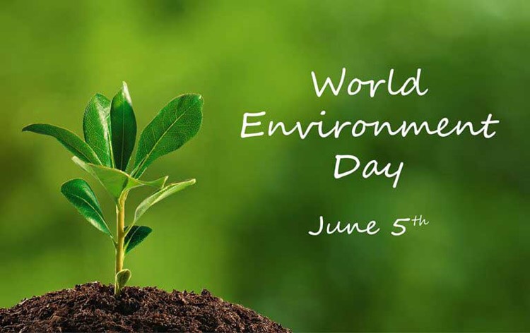 World Environment Day being celebrated across world today