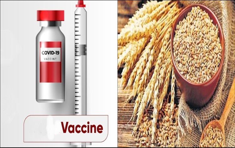 State govts welcome PM’s decision to provide free of cost vaccine & food grains