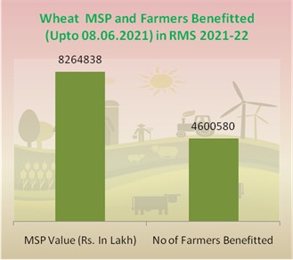 12.12 % more wheat procured this year in comparison to last year’s corresponding period