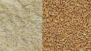 Country witnesses rise in rice export to 9 countries and wheat export to 7 countries