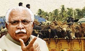 Haryana Government notifies setting up of State Level Special Cow Protection Task Force Committee and Special Cow Protection Task Force (SCPF) for every district