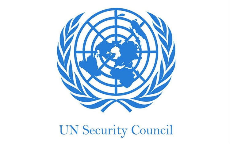 UNSC calls for an immediate end to violence and establishment of new government in Afghanistan