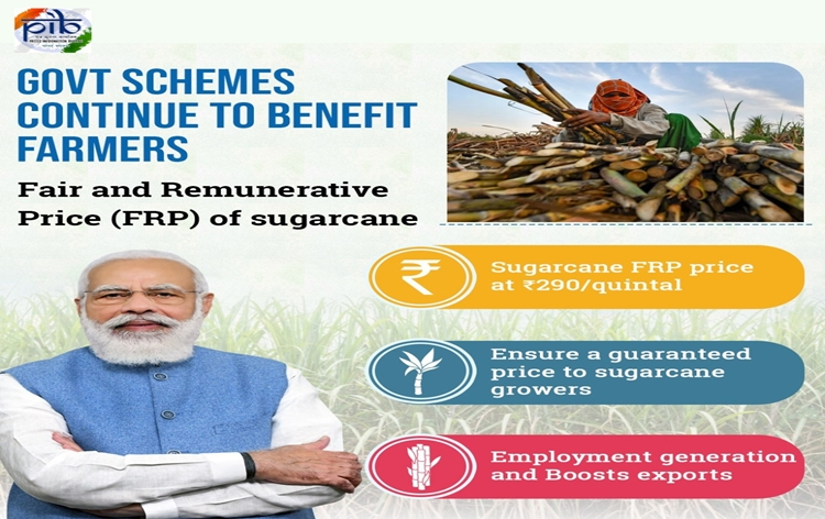 Cabinet approves highest ever Fair and Remunerative Price of Rs 290 per quintal for Sugarcane