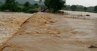 Six districts put on flood alert in Odisha; many rivers in spate due to heavy rainfall across state