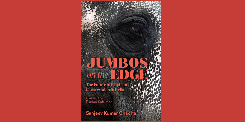 Jumbos on the Edge