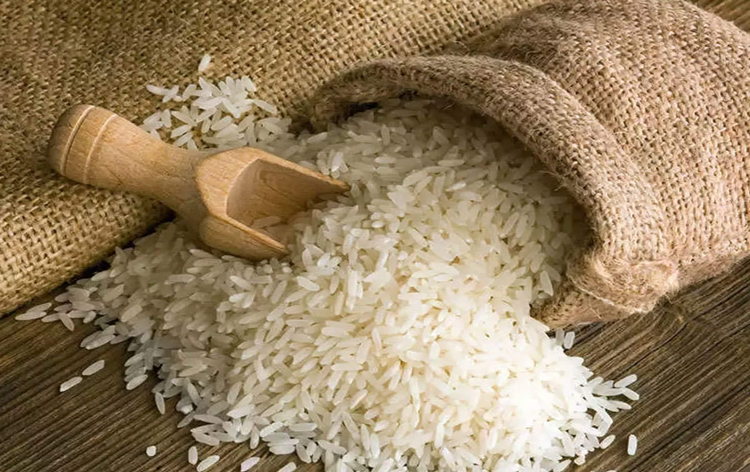 Rice exports of country rise by over 33% in first seven months of current financial year