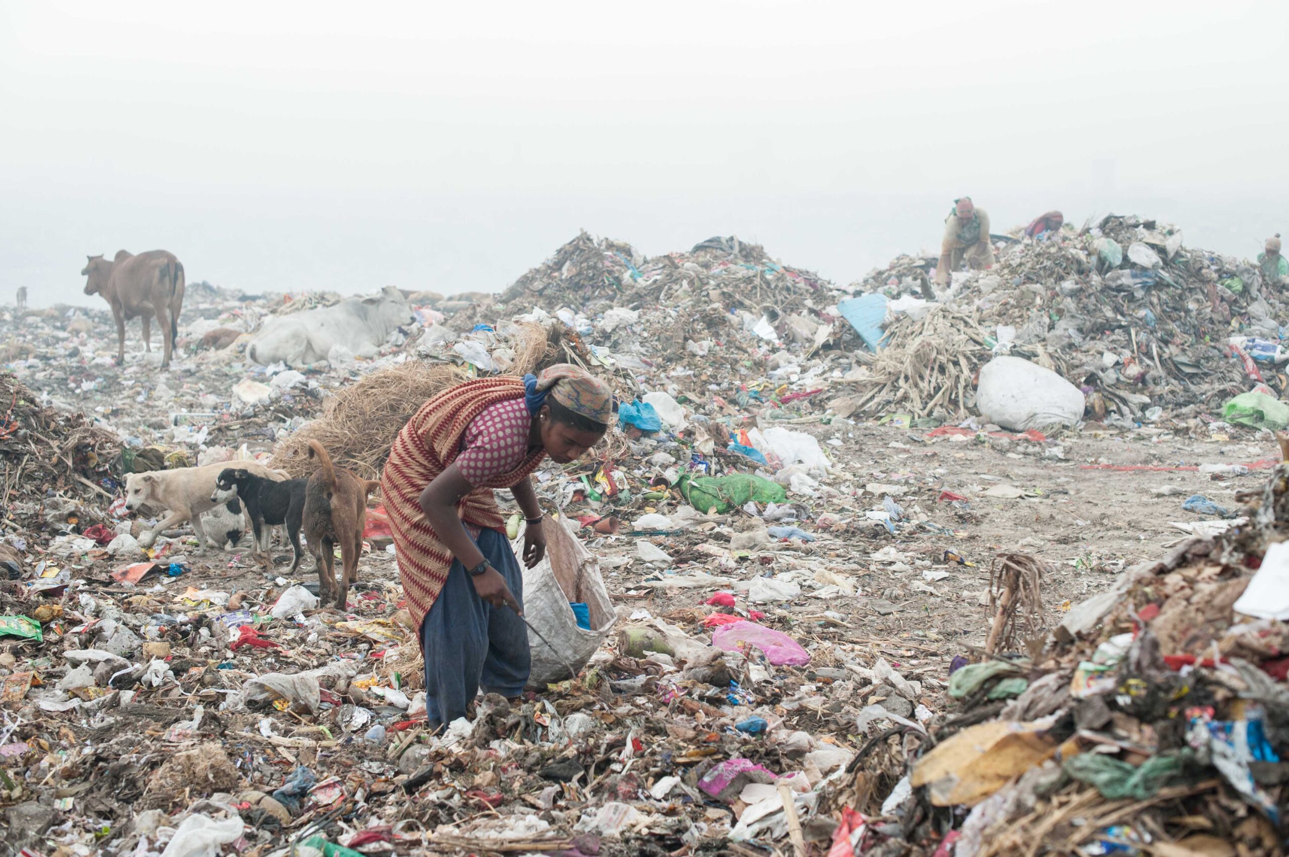 Efficient waste management systems in urban India