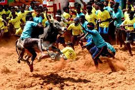 #Omicron: Tamil Nadu Govt issues SOP for Jallikattu events, allows only 150 spectators or 50% of seating capacity (whichever is less). Full vaccination or negative RT-PCR test report not older than 48 hours a must