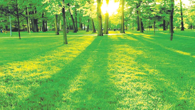 Does the Health Sector seriously give a thought about Green Space?