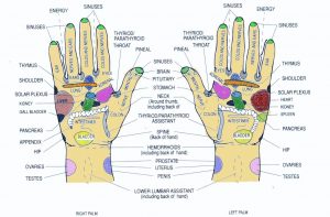 hand-reflexology-chart-@montereybayholistic